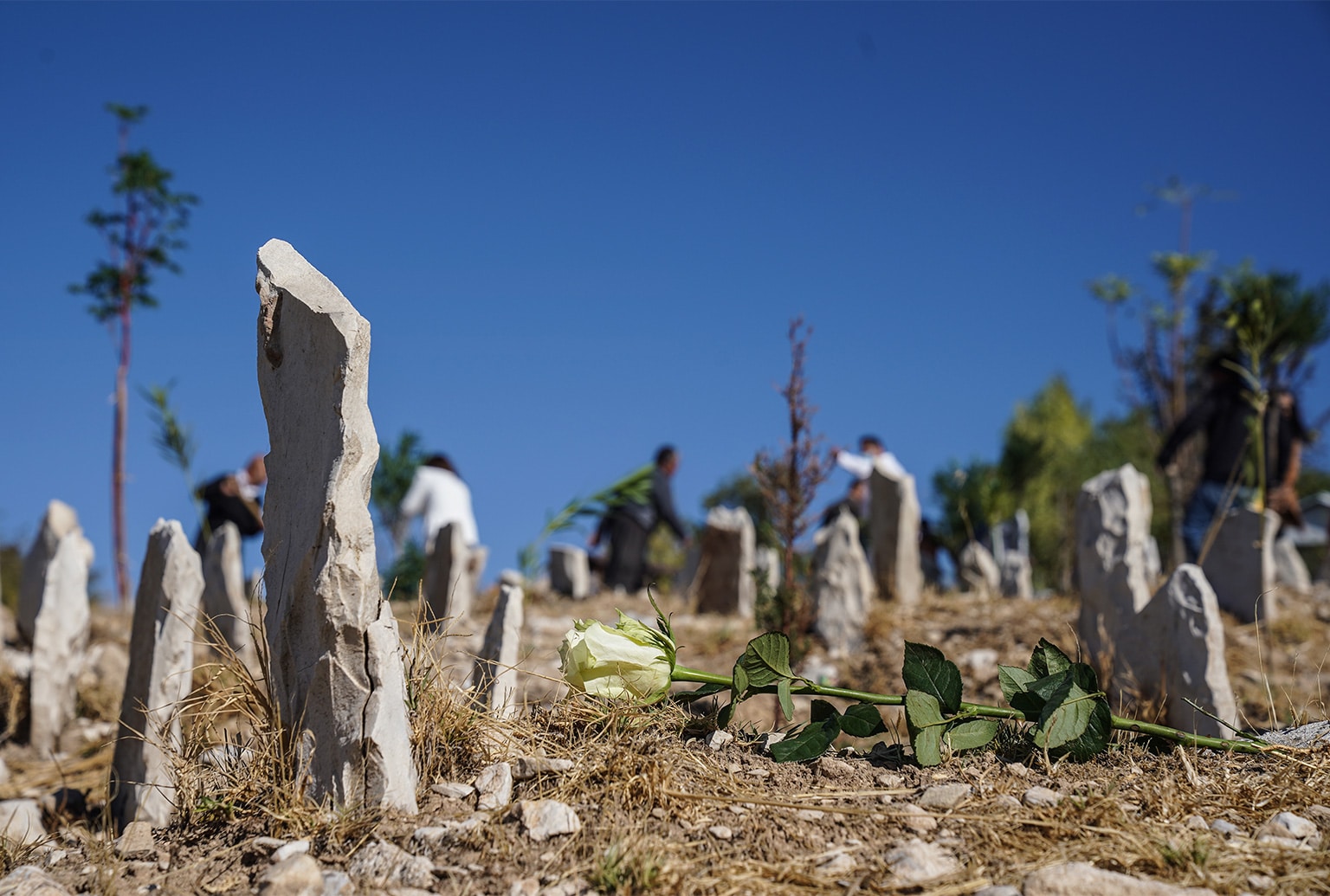 Greenifying the Graveyard of the Anonymous in Sulaymaniyah